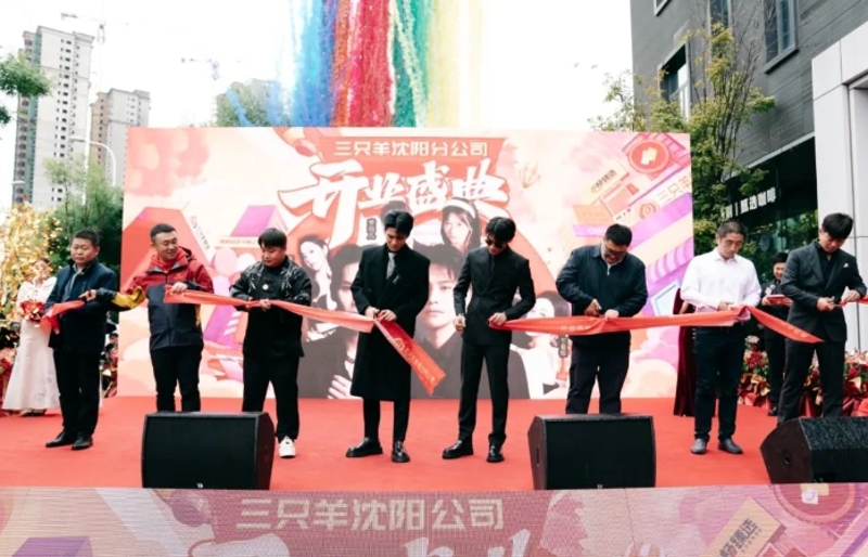 网络营销:构建品牌新高度